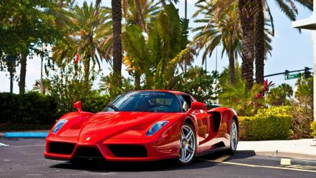 Ferrari Enzo in Tropical Paradise wallpaper