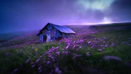Mystical Spring Twilight at Rustic Retreat wallpaper