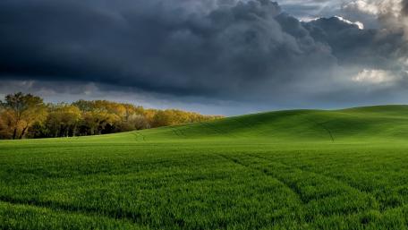 Majestic Stormy Meadow Scene wallpaper