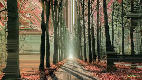 Glitched Path Through Autumn Woods wallpaper
