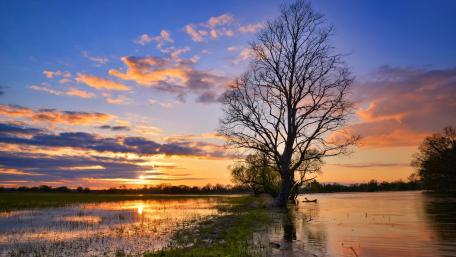 Serene Bayou Sunset Reflected on Water wallpaper