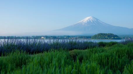Lake Kawaguchi and Mount Fuji wallpaper