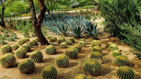 Sunnylands Rancho Mirage wallpaper