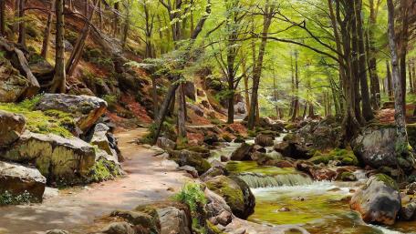 Harz wallpaper