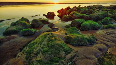 Tranquil Sunset Over Algae-Covered Rocks wallpaper