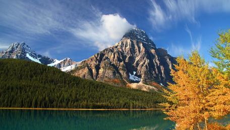 Mount Chephren wallpaper