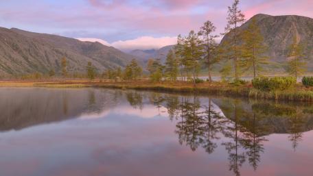 Serene Lakeside Reflections Under a Pink Sky wallpaper