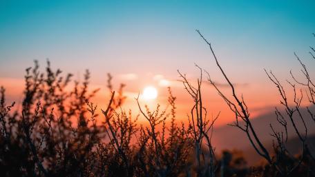 Sunrise Over the Horizon wallpaper