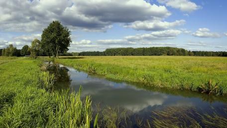 Serene River Amidst Verdant Fields and Fluffy Clouds wallpaper