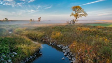 Serene Misty Morning by the Canal wallpaper
