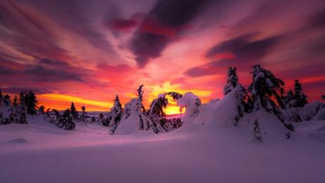 Winter's Peaceful Sunset Beauty wallpaper