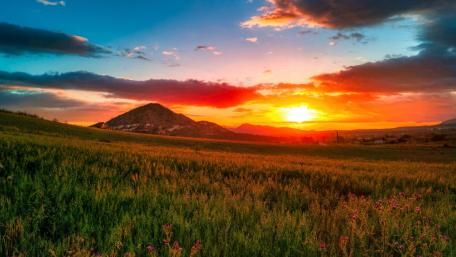 Vibrant Sunset Over Hilltop Grassland wallpaper