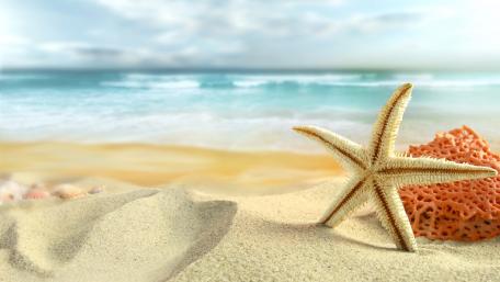 Summer Bliss by the Shore wallpaper