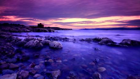 Purple Serenity at Dusk wallpaper