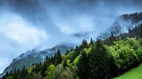 Misty Mountains Under Rainy Skies wallpaper