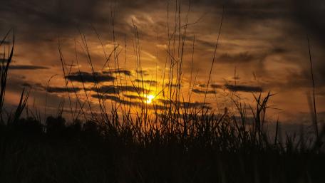 Golden Horizon at Dusk in 4K Nature Wallpaper wallpaper
