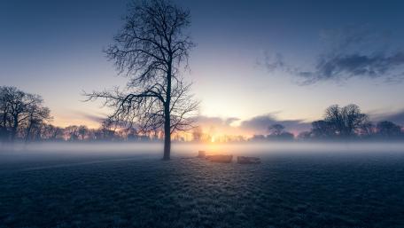 Winter's Tranquil Dawn wallpaper