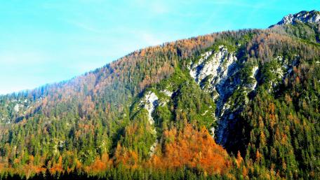 Majestic Autumn Mountain Landscape in 4K Resolution wallpaper