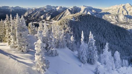 Serene Winter Landscape with Majestic Mountains and Snow-Covered Trees wallpaper