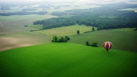 Soaring Above Vibrant Fields of Green wallpaper