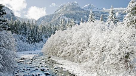 Winter Wonderland Along the Riverbank wallpaper