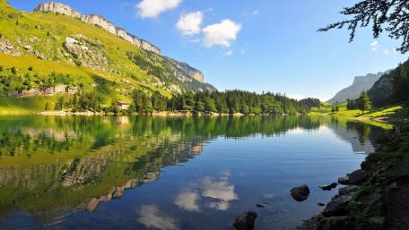 Seealpsee wallpaper