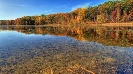 Autumn Serenity at the Lake wallpaper