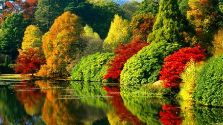 Autumn Reflections by the Lake wallpaper