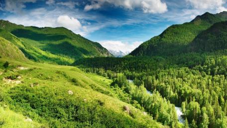 Tranquil Beauty of Lush Green Mountains wallpaper
