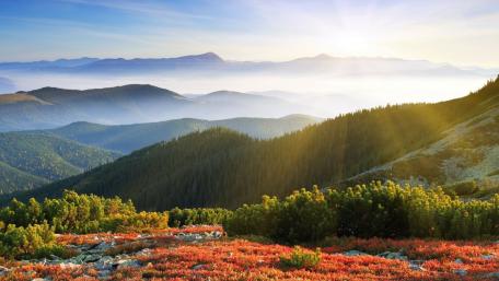 Majestic Morning in the Mountains wallpaper