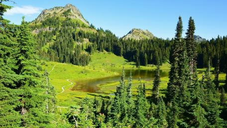 Tranquil Mountain Valley Scene with Lush Greenery wallpaper