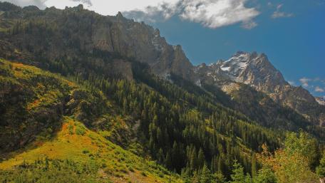 Majestic Mountain Peaks Surrounded by Lush Forests and Clear Skies wallpaper