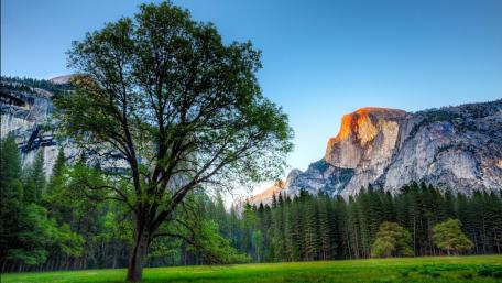 Half Dome wallpaper