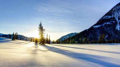 Serene Winter Landscape with Golden Sunrise wallpaper