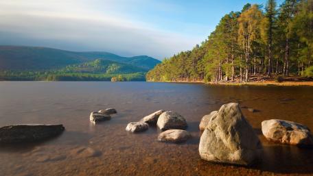 Tranquil Lakeside Serenity wallpaper