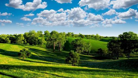 Lush Green Hills Under a Bright Sky wallpaper