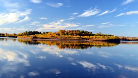 Autumn Serenity by the Lake wallpaper