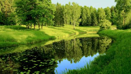 Serene Reflections in a Lush Green Paradise wallpaper
