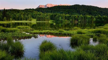 Tranquil Reflections in Nature's Embrace wallpaper