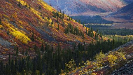 Vibrant Autumn Valley Landscape wallpaper
