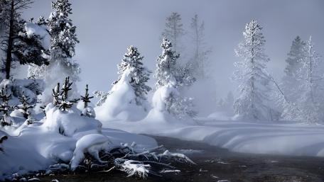 Enchanting Winter Wonderland Scene wallpaper