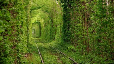 Tunnel of Love wallpaper