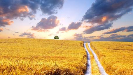 Ukraine Nature wallpaper
