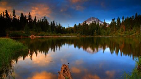 Mount Hood from Trillium Lake wallpaper