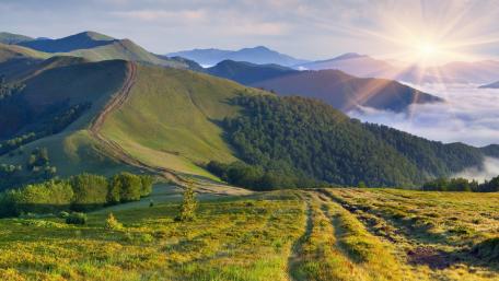 Majestic Green Mountains at Sunrise wallpaper