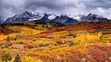 Vibrant Autumn Bliss in the Mountains wallpaper