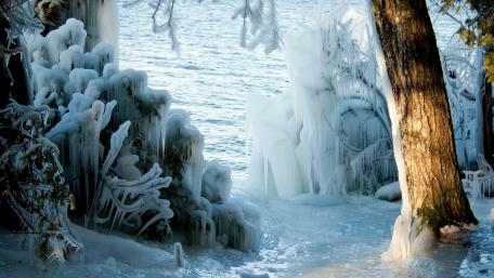 Frozen Serenity in Nature's Embrace wallpaper