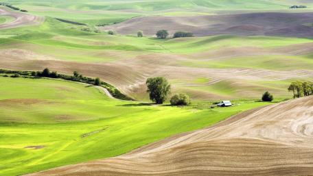 Serene Countryside Hillscape Amidst Lush Greenery wallpaper