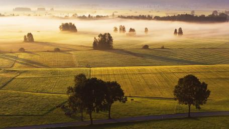 Serene Misty Morning Over Green Fields wallpaper