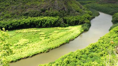 Serene River Winding Through Lush Greenery wallpaper